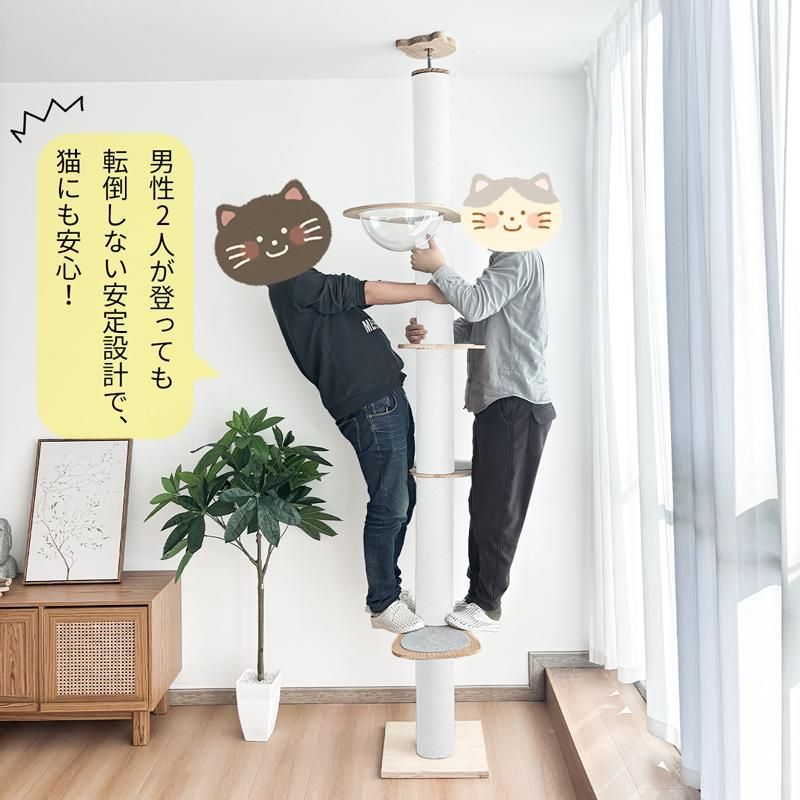 猫タワー