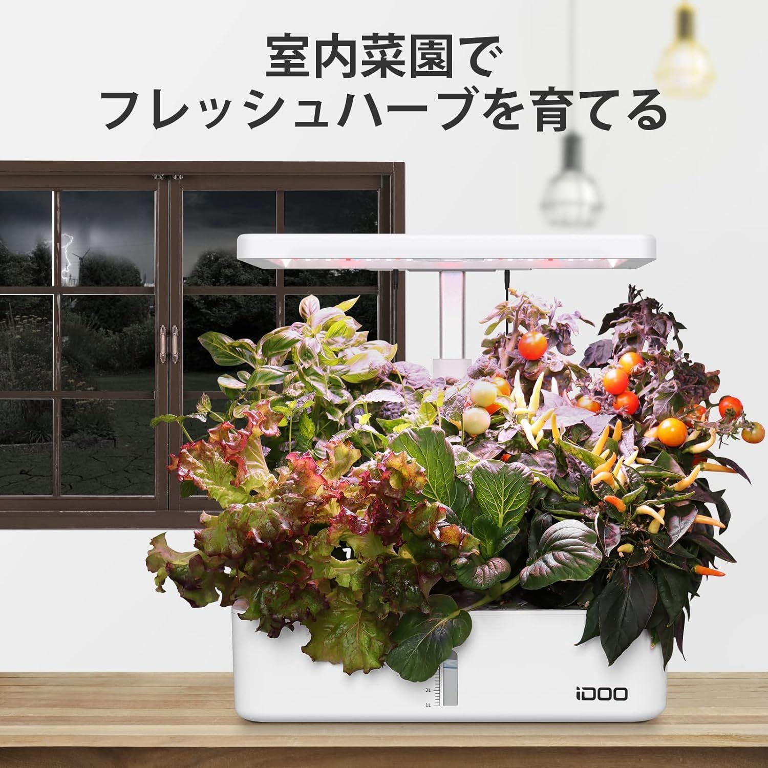 iDOO 水耕栽培キット 水耕栽培 12株 室内植物育成LEDライト付き 
