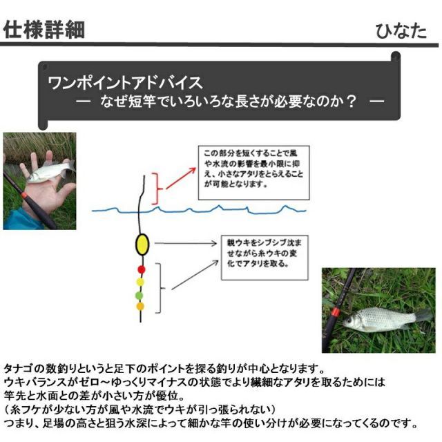 ダイワひなた6尺 鮒釣り、たなご釣りに