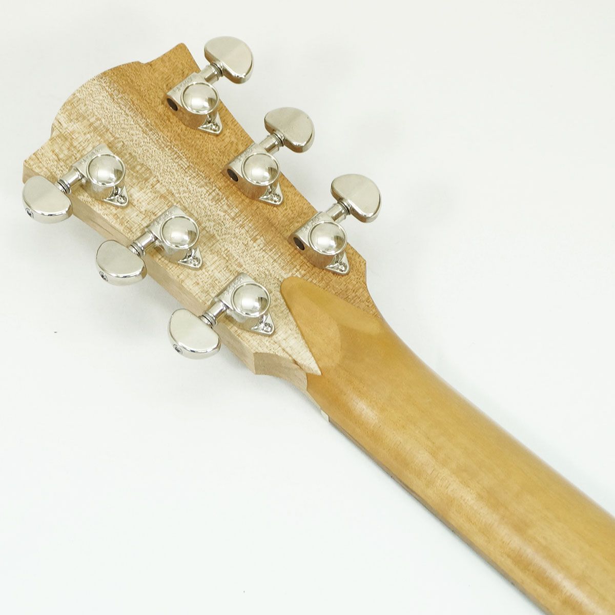 FL1E-BM