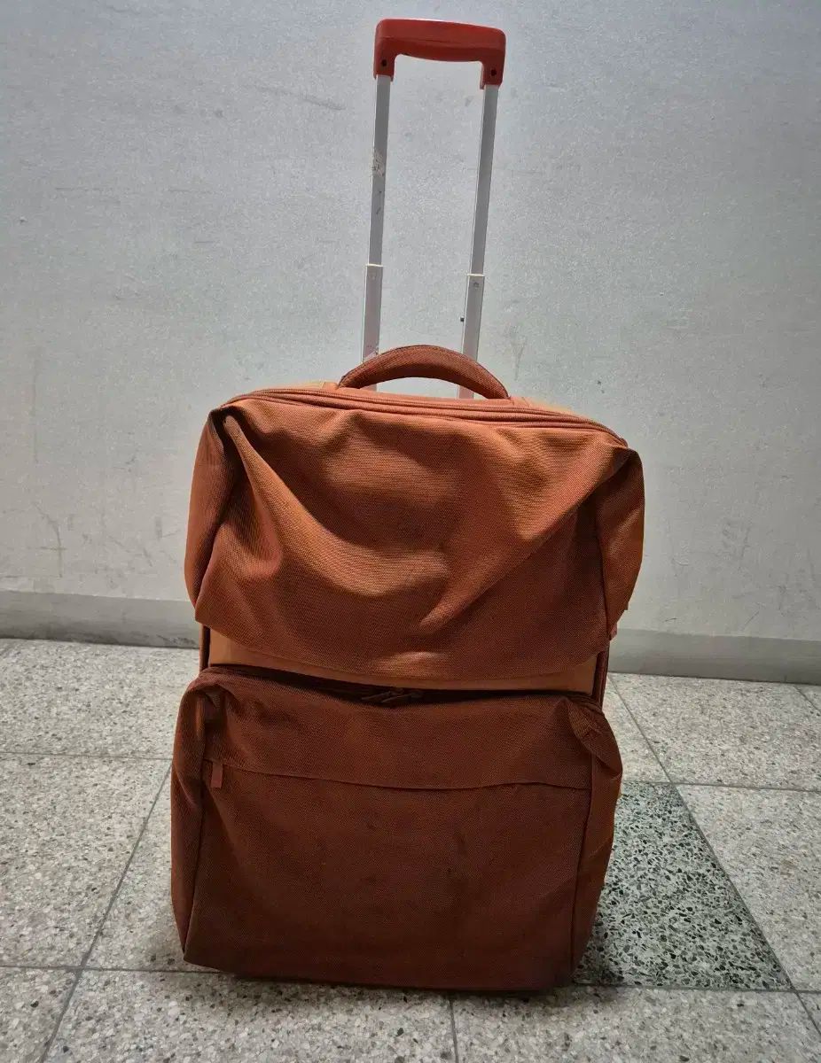 MANDARINA