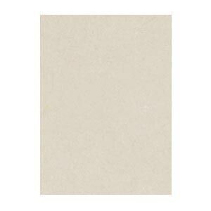 リンテック ニューカラーＲ 4 NCR-113 あかるいはいいろ