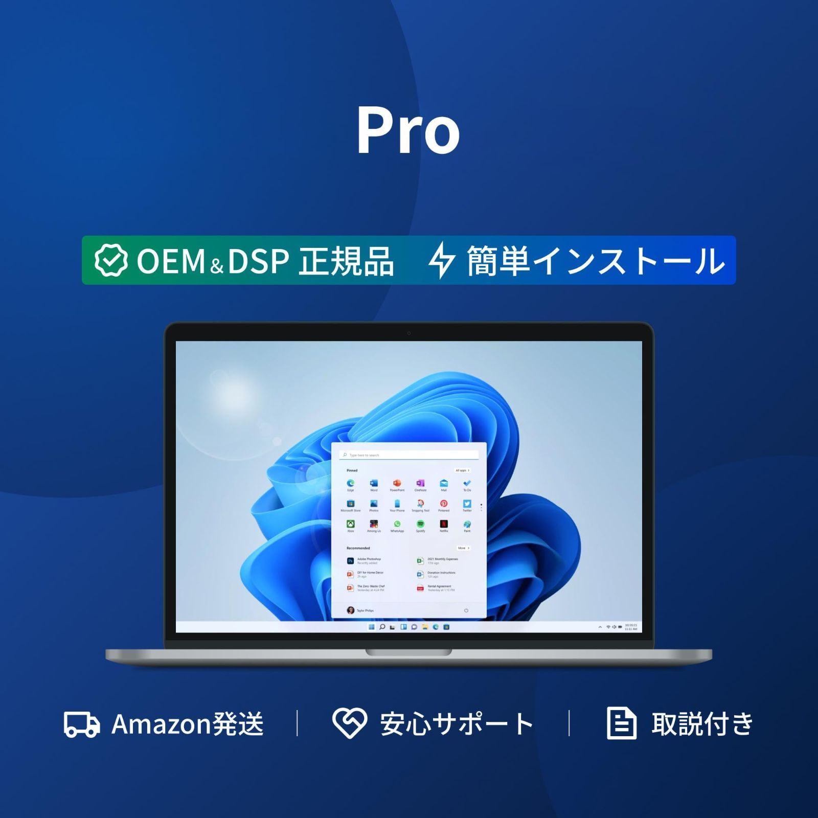 セール Windows11向け DSPライセンス日本語 Pro取説付き