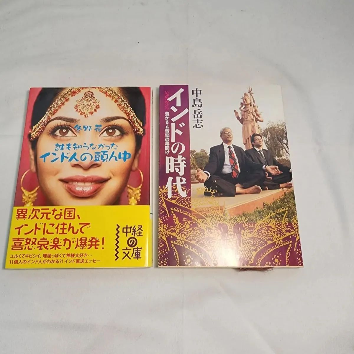 誰も知らなかったインド人の頭の中」「インドの時代」 古本 古本屋 よしぼう メルカリ 誰も知らなかったインド人の頭ん中