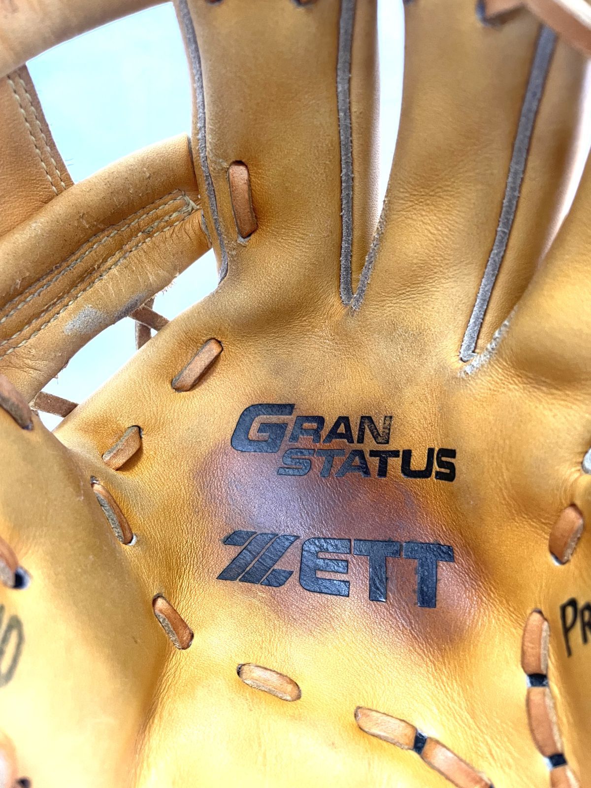 ZETT ゼット GRANSTATUS グランステイタス DYNA ZETT BPGA 25310 硬式