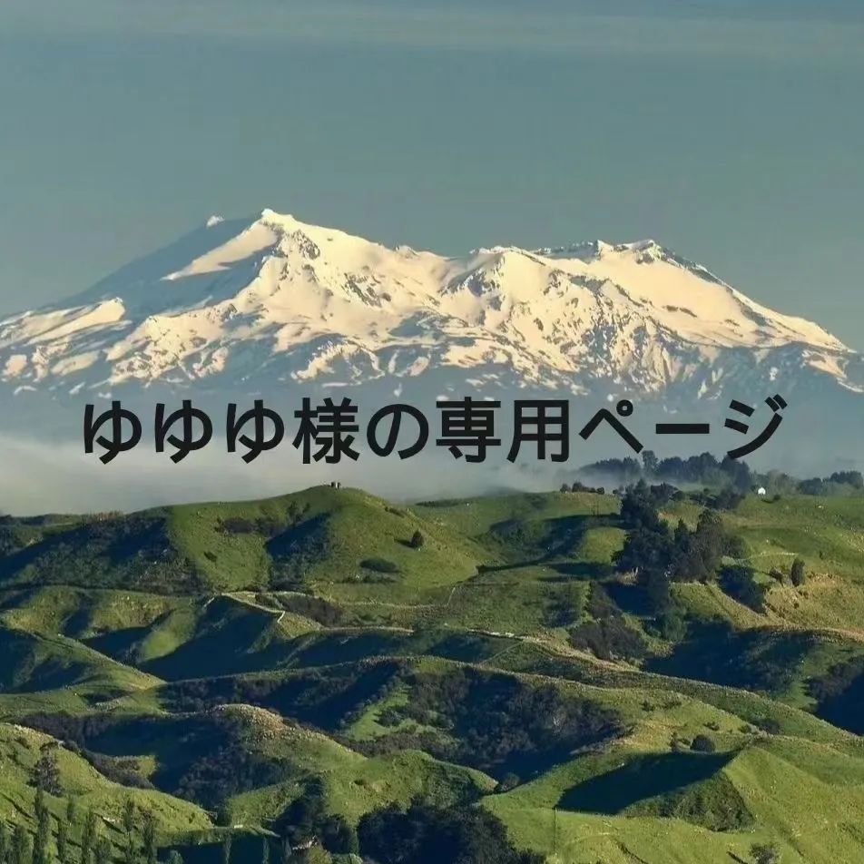 こきゆ様専用❤︎完成品確認ページ スピ 