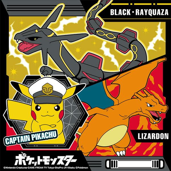 ランチクロス ポケモン 2024 スカーレット バイオレット ポケットモンスター