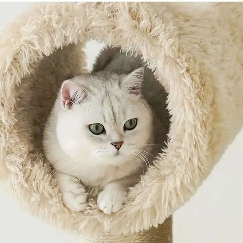かわいい