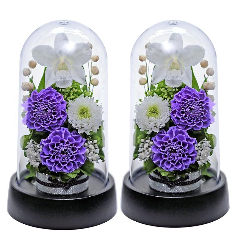 Nippon Olive ラグラシアオイル・エスペランサエマルシオン セット