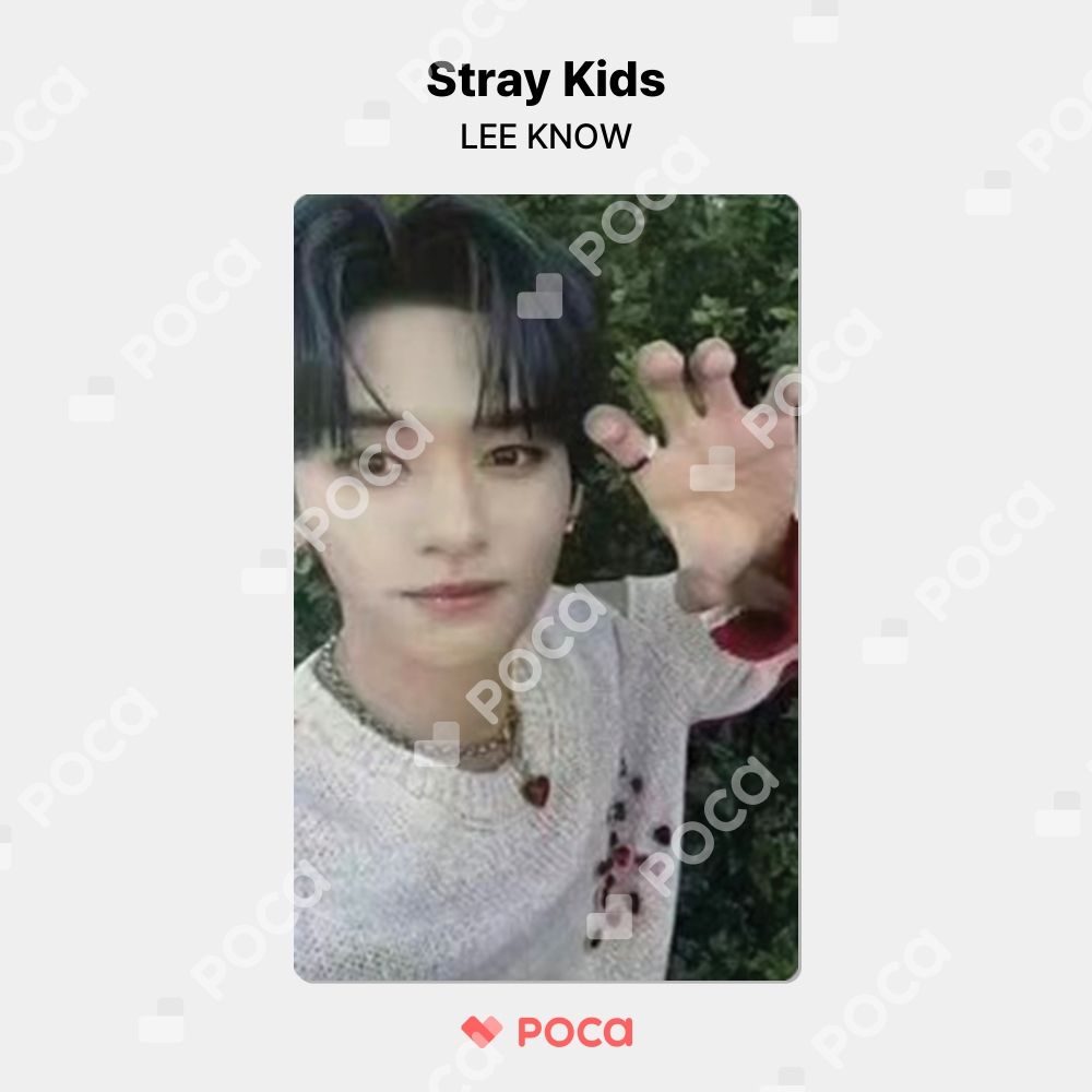 straykids リノ スキズ トレカ MAXIDENT YES24 公式 トレカ