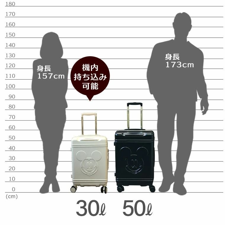 新品】キャリーケース 機内持ち込み Sサイズ 30L 1～2泊用 旅行バッグ