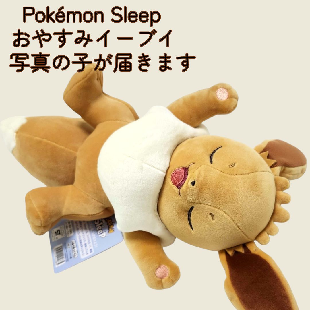 送料無料 24時間以内発送 もっちりぬいぐるみ Pokémon Sleep おやすみイーブイ ポケモン イーブイ ポケスリ すやすや ブイズ ポケモンSV  ポケセン ポケモンセンター ぬい 可愛い かわいい 寝顔 リラックス 元気いっぱい げんきいっぱい寝 - メルカリ