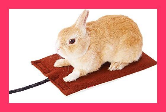 ペティオ (Petio) ペットのための電気ヒーター ハード Mサイズ (x 1) | ペティオ (Petio) ネコ用 ペットのための電気ヒーター ハード