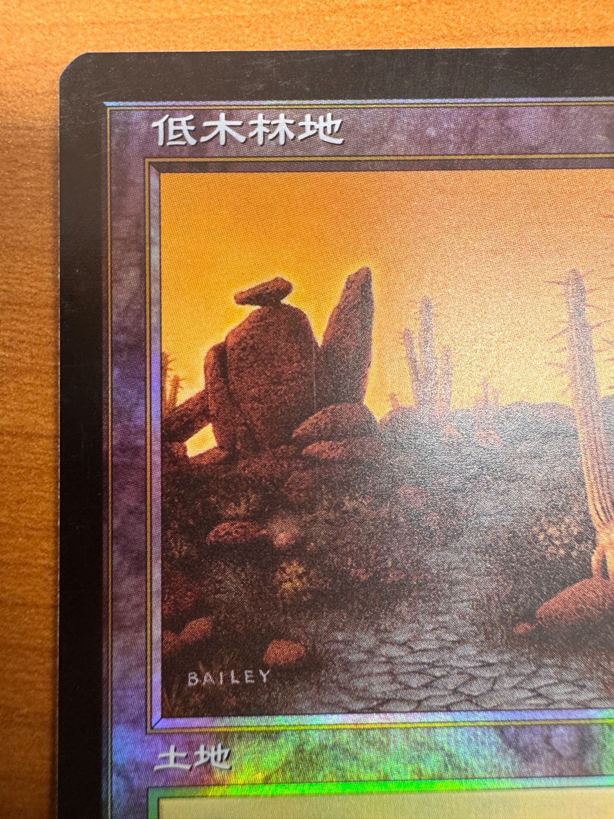 低木林地 326/350 マジック：ザ・ギャザリング 低木林地 Foil ホイル MTG マジックザギャザリング 326/350 日本語版