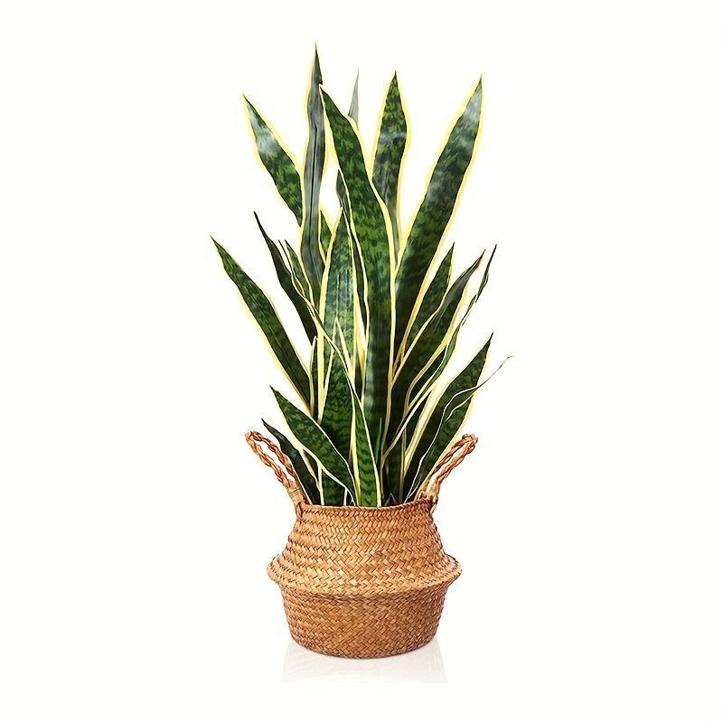 フェイクプラント 観葉植物 サンセベリア 人工植物 グリーン 癒し リラックス 玄関 庭 リビング ダイニング 室内 屋外 インテリア UA9I305  - メルカリ