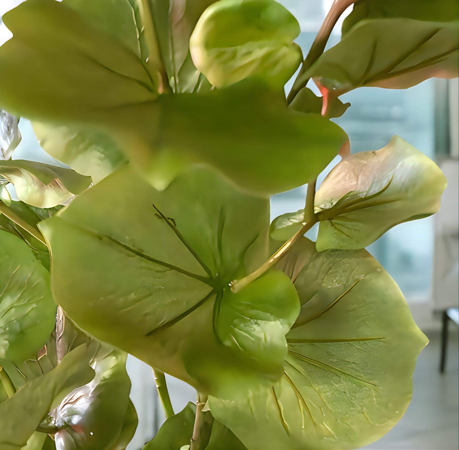 室内イミテーション ドライ シー グレープ 光触媒 人工観葉植物
