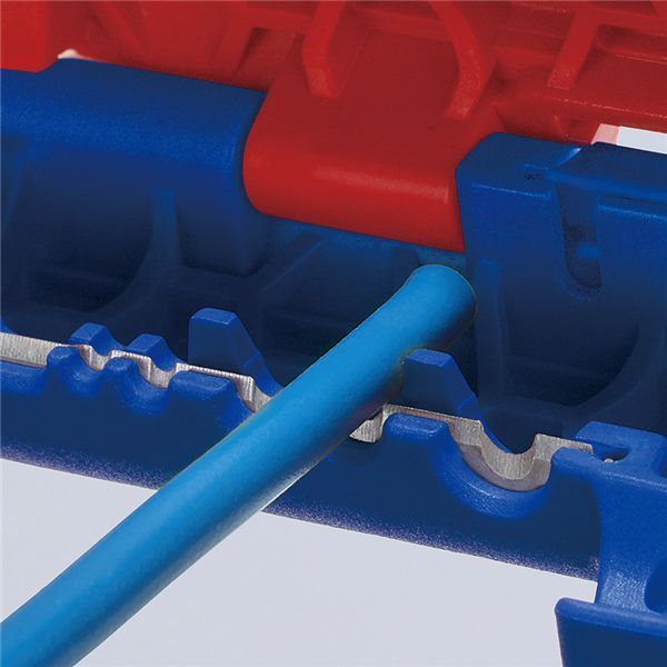 エルゴストリップ