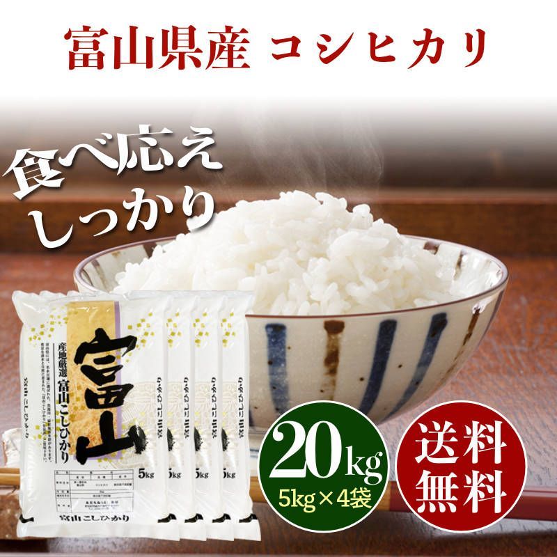 食品格安 お米 20kg 兵庫県産 こしひかり 送料無料