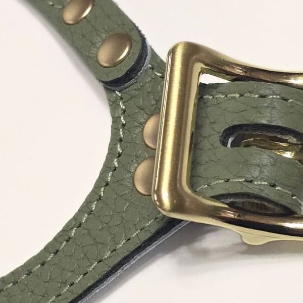 バディーベルト セージ2.5号 Sage 獣医師推奨 BBハーネス ペット 犬 レザー 本革 用 BUDDY BELT BUDDYBELT犬 犬用 ドッグ バディベルト 関節サプリ ハーネス 胴輪 