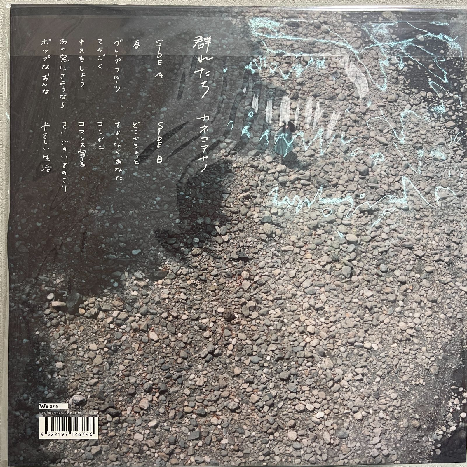 カネコアヤノ 『群れたち』 アナログ盤 LPレコード カネコアヤノ / 群れたち | COCONUTS DISK KICHIJOJI