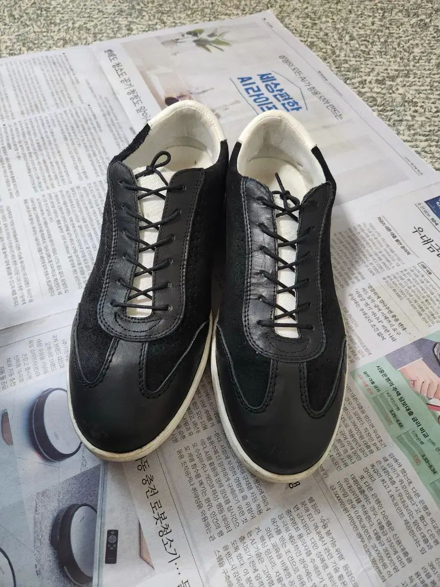ALDO(アルド) スニーカーズ 280