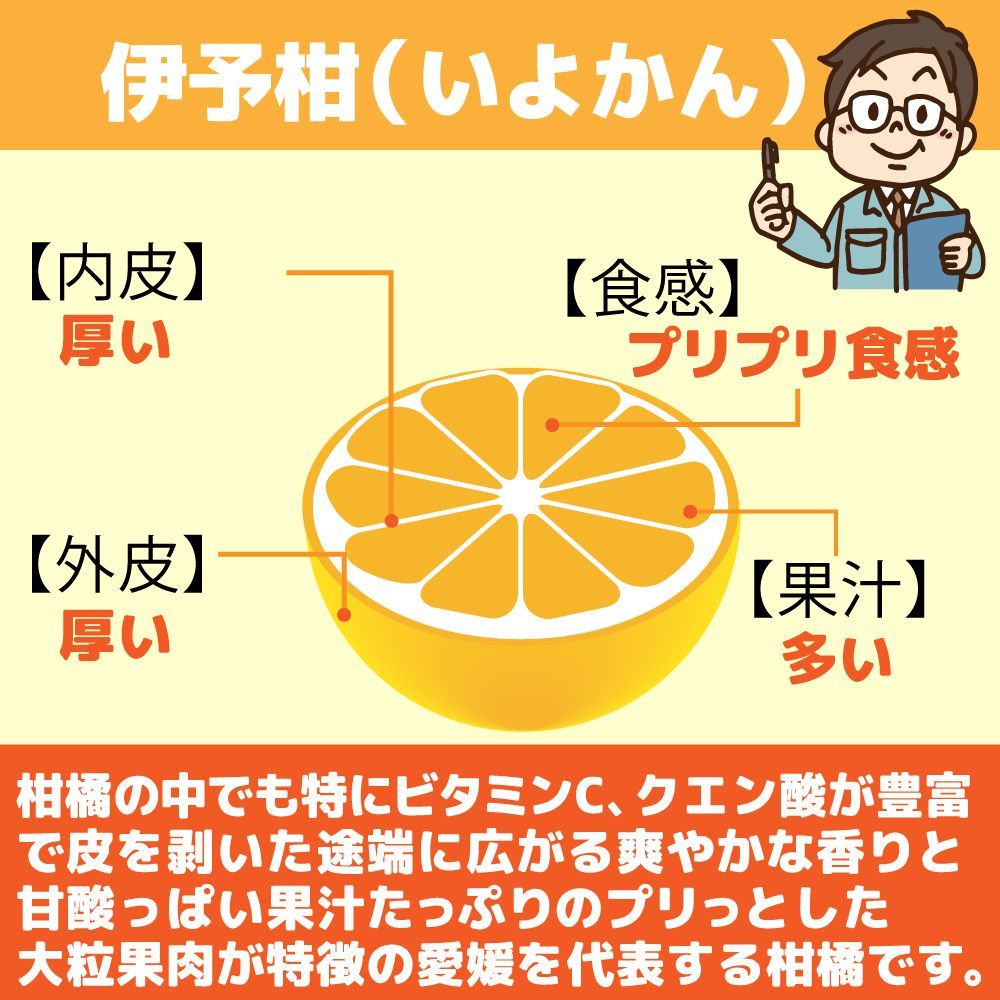 のサムネイル