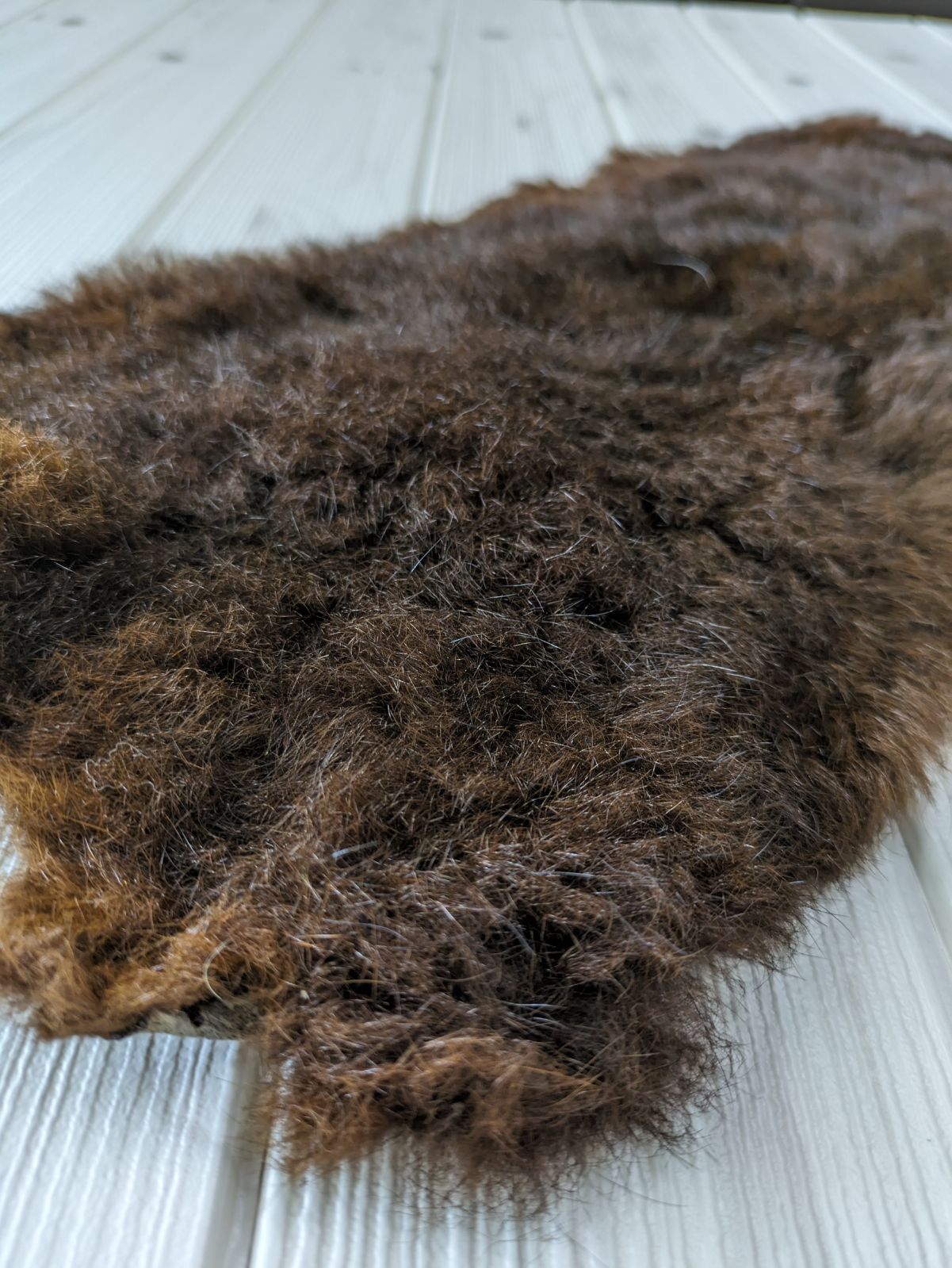 希少 スカンク ファー 染あり ① 希少 スカンク ファー 染あり ① 高