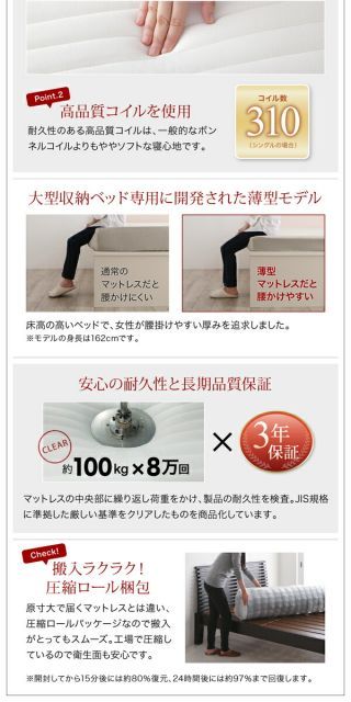 衣装ケースも入る大容量デザイン収納ベッド ベッドフレームのみ