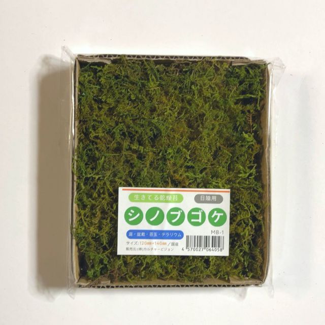 ドラゴンボールカードゲーム MANGA BOOSTER 01 テープ付き