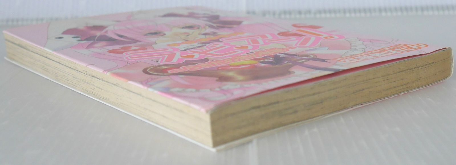 Monogatari 2004年