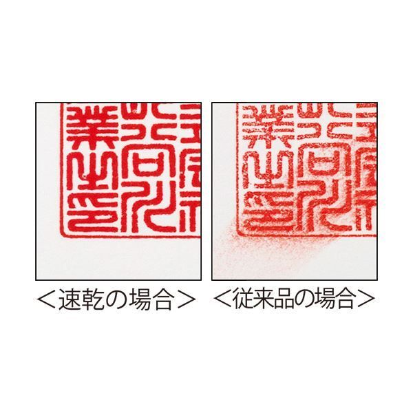 速乾朱肉 60号 直径63mm ×10セット