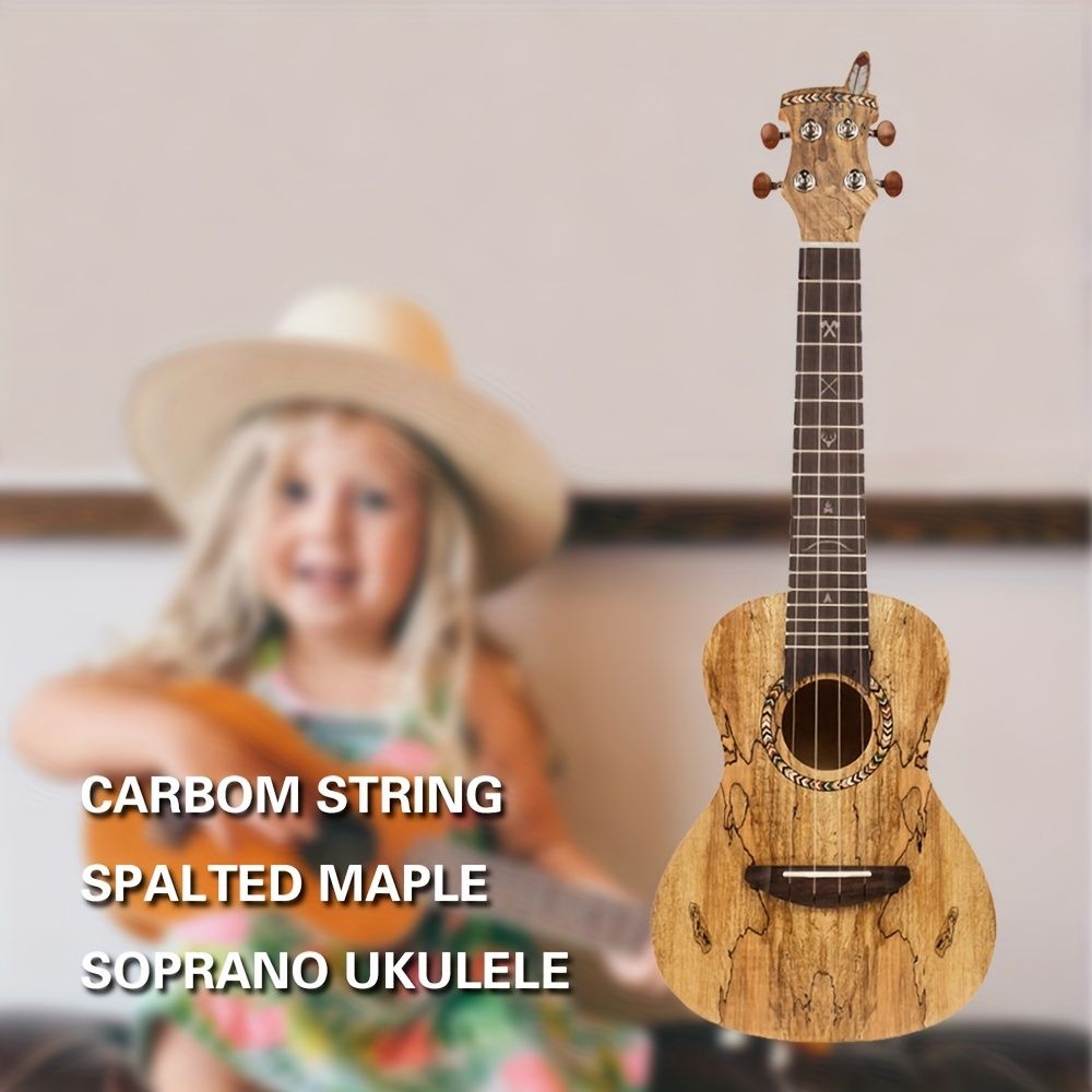 希少】 Walter Sandner ツィター チター 楽器 ドイツ 最高級