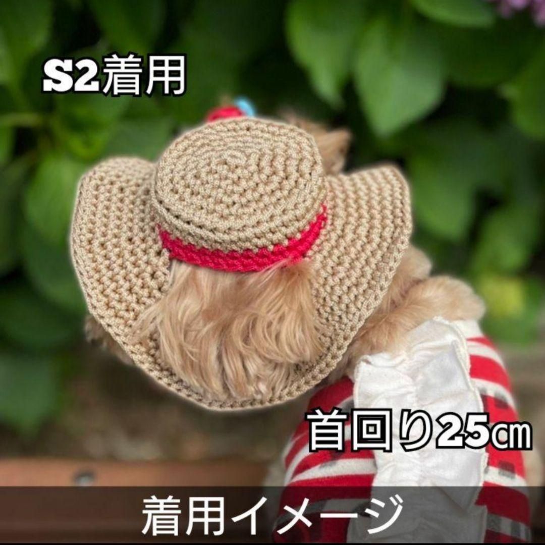 S3】犬の帽子 カンカン帽 シルバーセージ【ブラック ルビー オフ