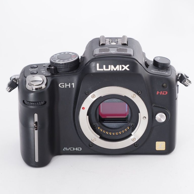 Panasonic LUMIX DMC-GM1K ミラーレス一眼レフカメラ Panasonic
