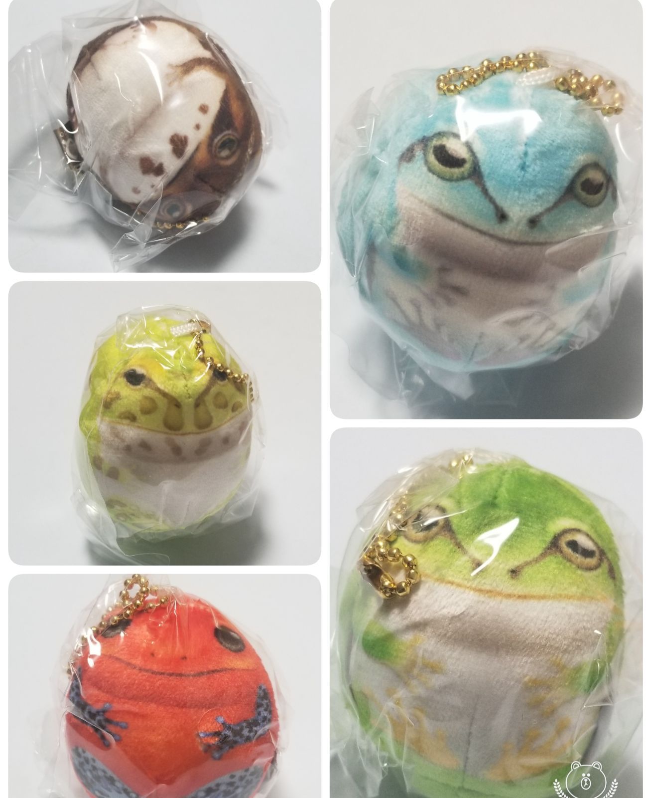 MOCHIXモチモチカエル 全5種 - メルカリ