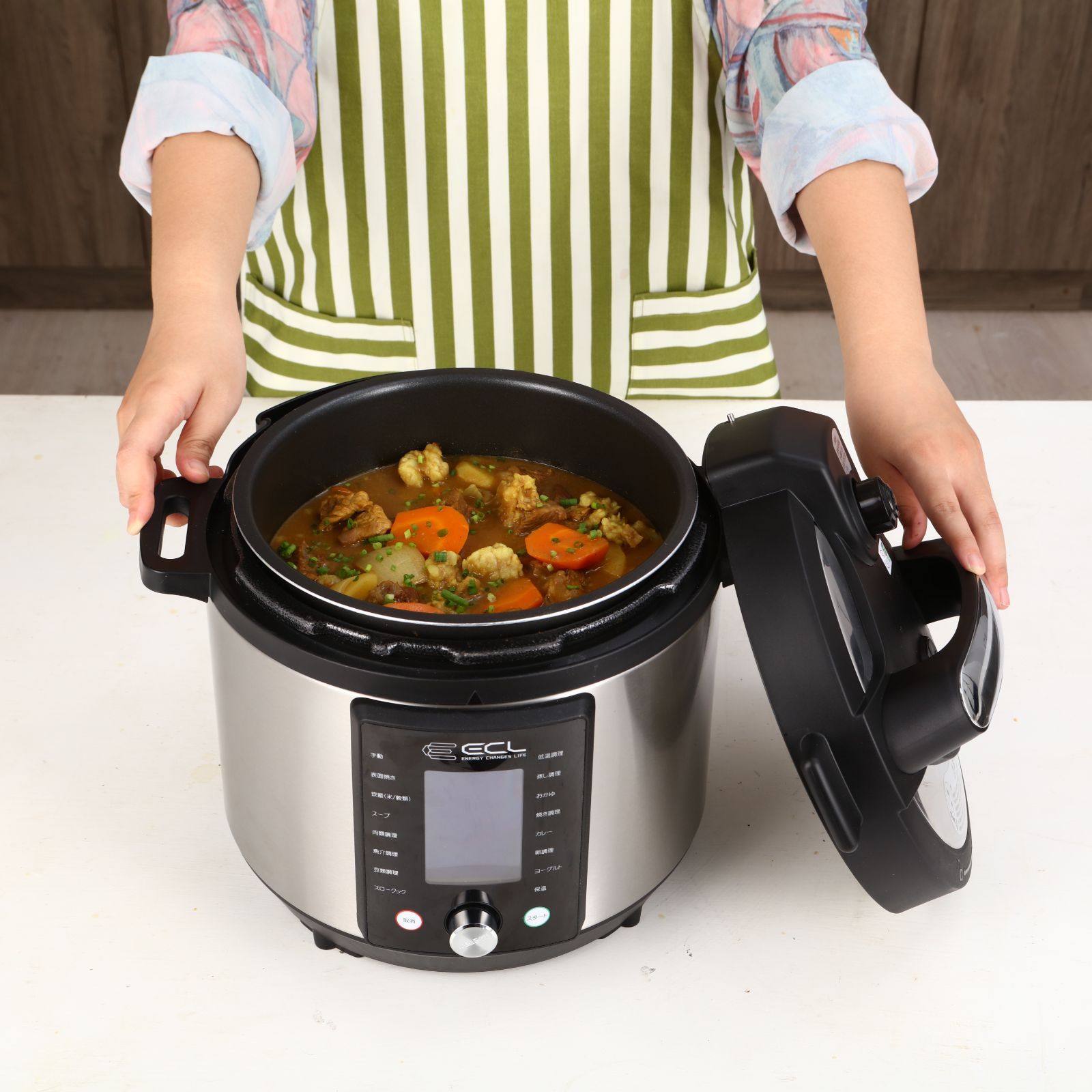 電気圧力鍋 大容量 電子圧力鍋 5L 圧力調理器 圧力鍋 電気 一台15役