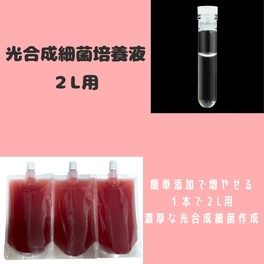 PSB光合成細菌 900ml - 水質管理