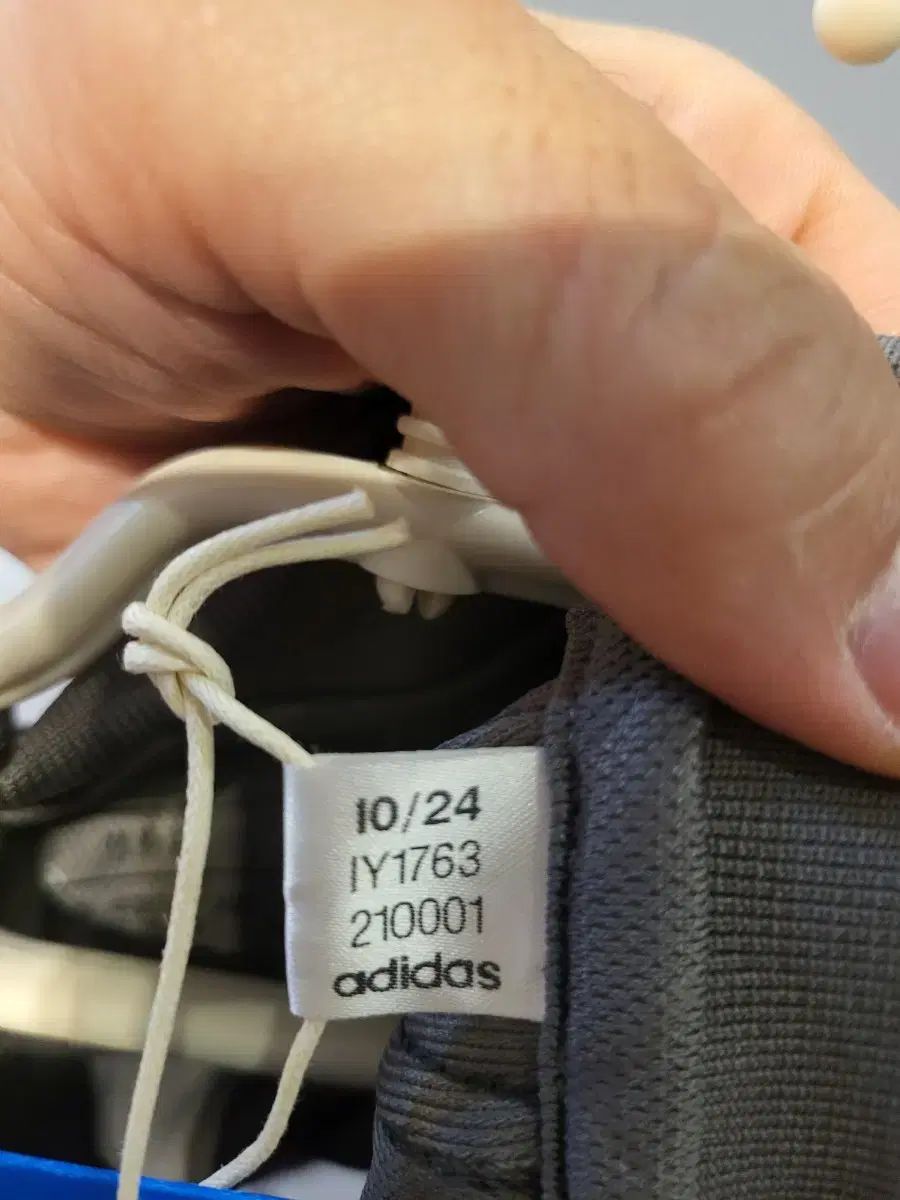 バルベルデ 2XL