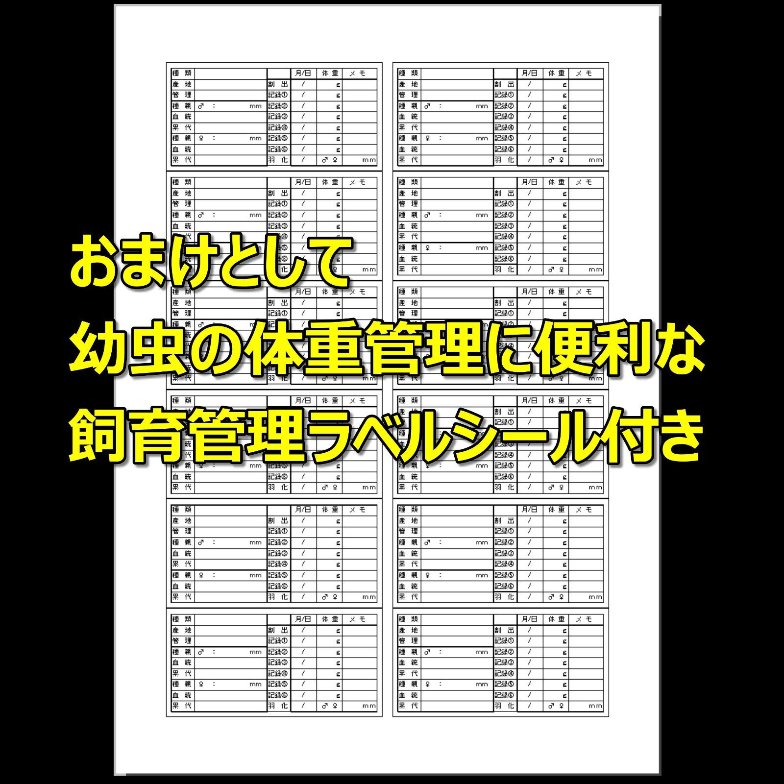 飼育ケース 大容量コンテナ 5.5 L 国産 外国産カブトムシ 幼虫飼育に最適 人工蛹室の管理 成虫一時管理 タイベストシール予備付 飼育管理ラベル付 虫かご 飼育ケース 昆虫用品