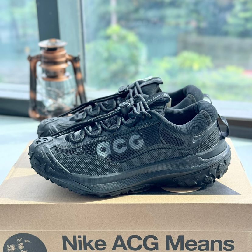 新品・未使用 Nike ACG Mountain Fly 2 Low GTX SE - メルカリ