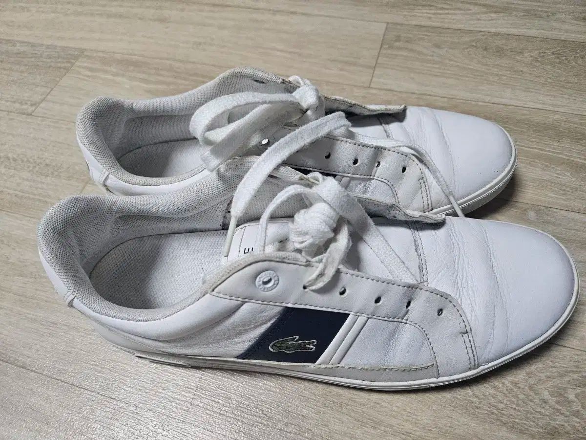 LACOSTE(ラコステ) 靴 270