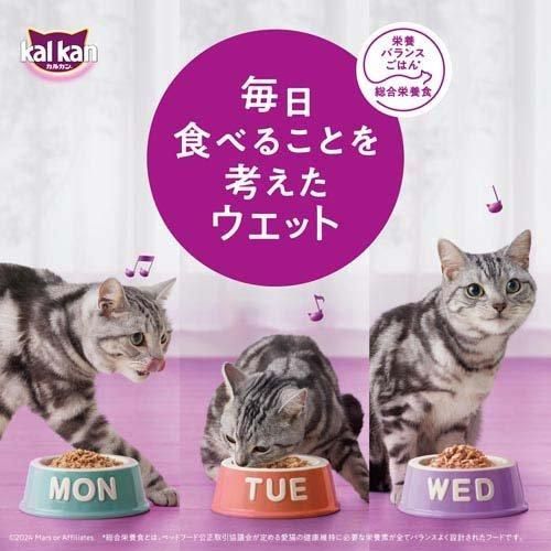 まぐろ ほたてだし