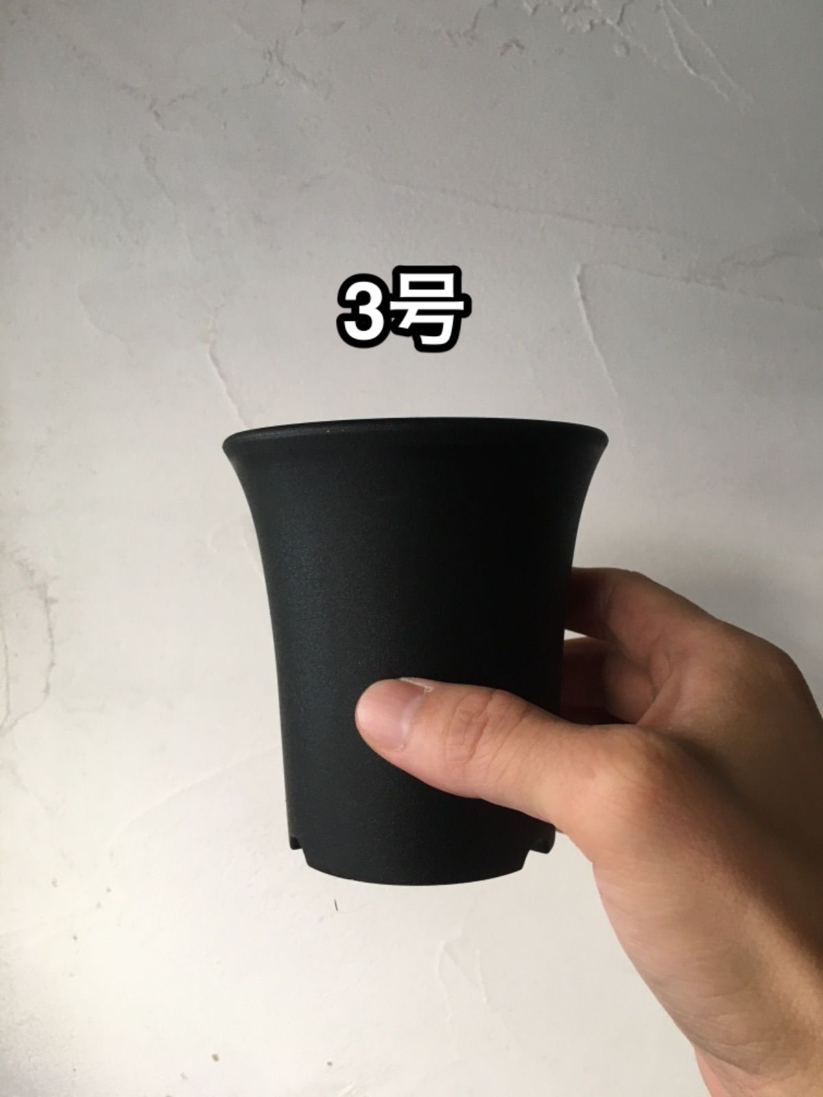 駿河蘭(蘭鉢ごと)NO.2 8/13撮影 メルカリ便発送 駿河蘭(蘭鉢ごと)NO.2 8/13撮影 メルカリ便発送 - メルカリ