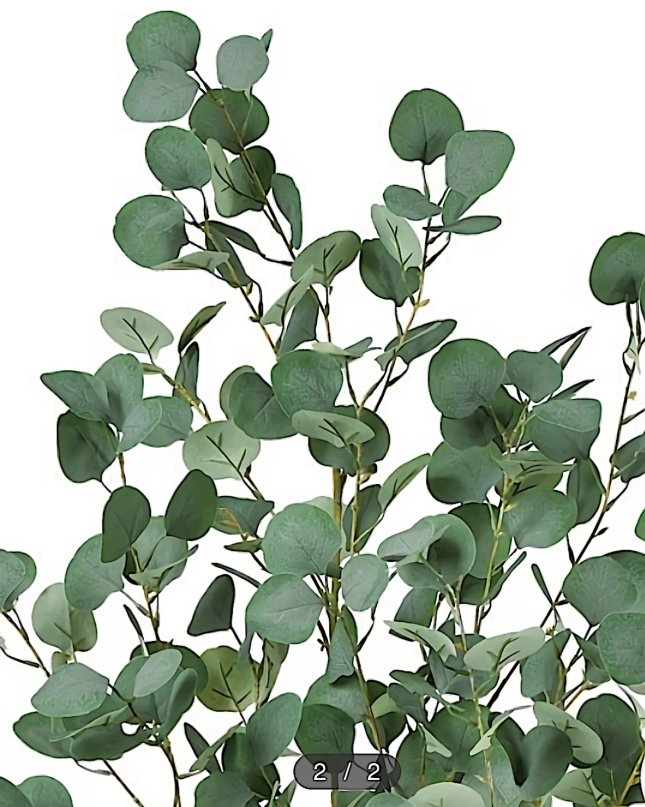 光触媒　人工観葉植物　ウォールグリーン　フェイクグリーン　ユーカリ1.61.6