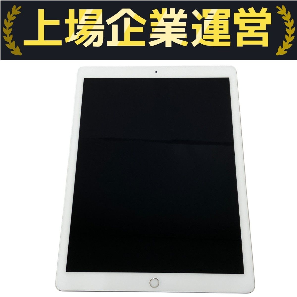 Apple iPad Pro 256GB 12.9インチ 第2世代 MP6H2J/A Wi-Fiモデル