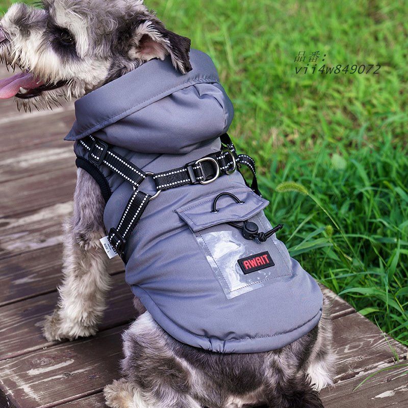 フランス 【フランス国境の町マントンで購入 大きい深皿 ハンドペイント】