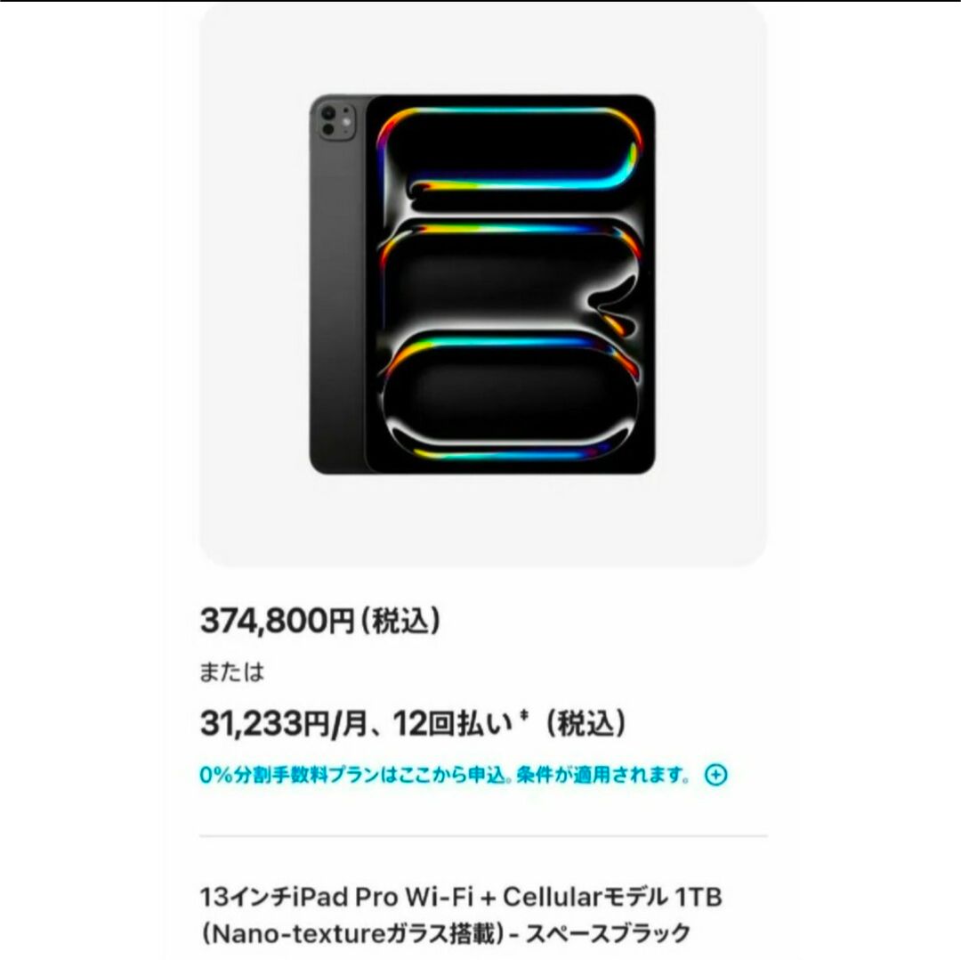 【極美品】iPad Pro M4 13インチ 1TB スペースブラック Nanoガラス