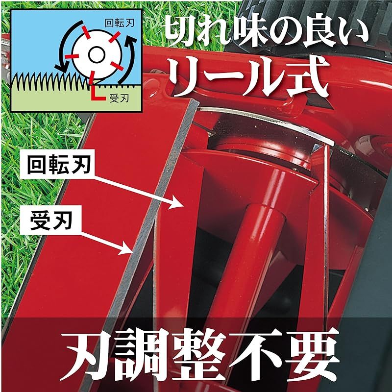 Kinboshi ゴールデンスター