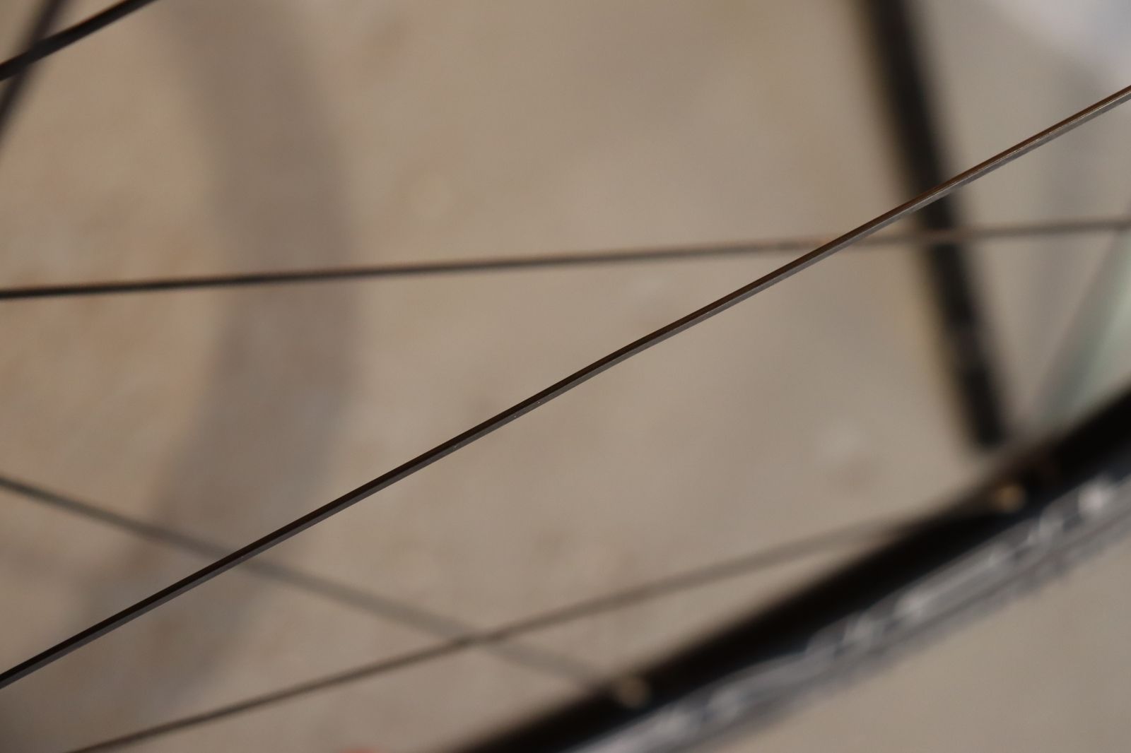 カンパニョーロ Campagnolo