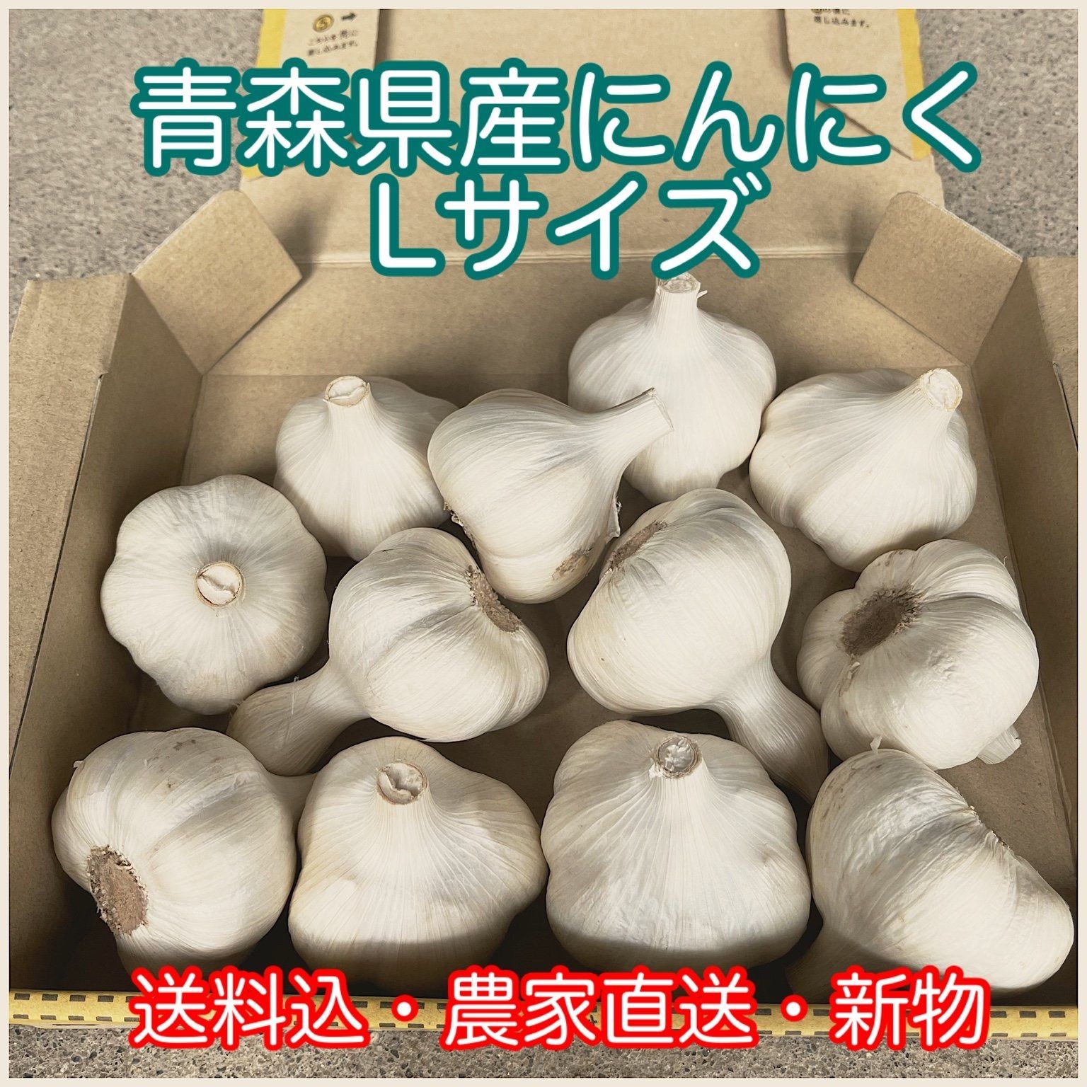青森県にんにくタネ5キロML 消毒 青森県にんにくタネ5Kg M 消毒